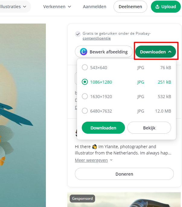 Stappenplan ondersteunende afbeelding