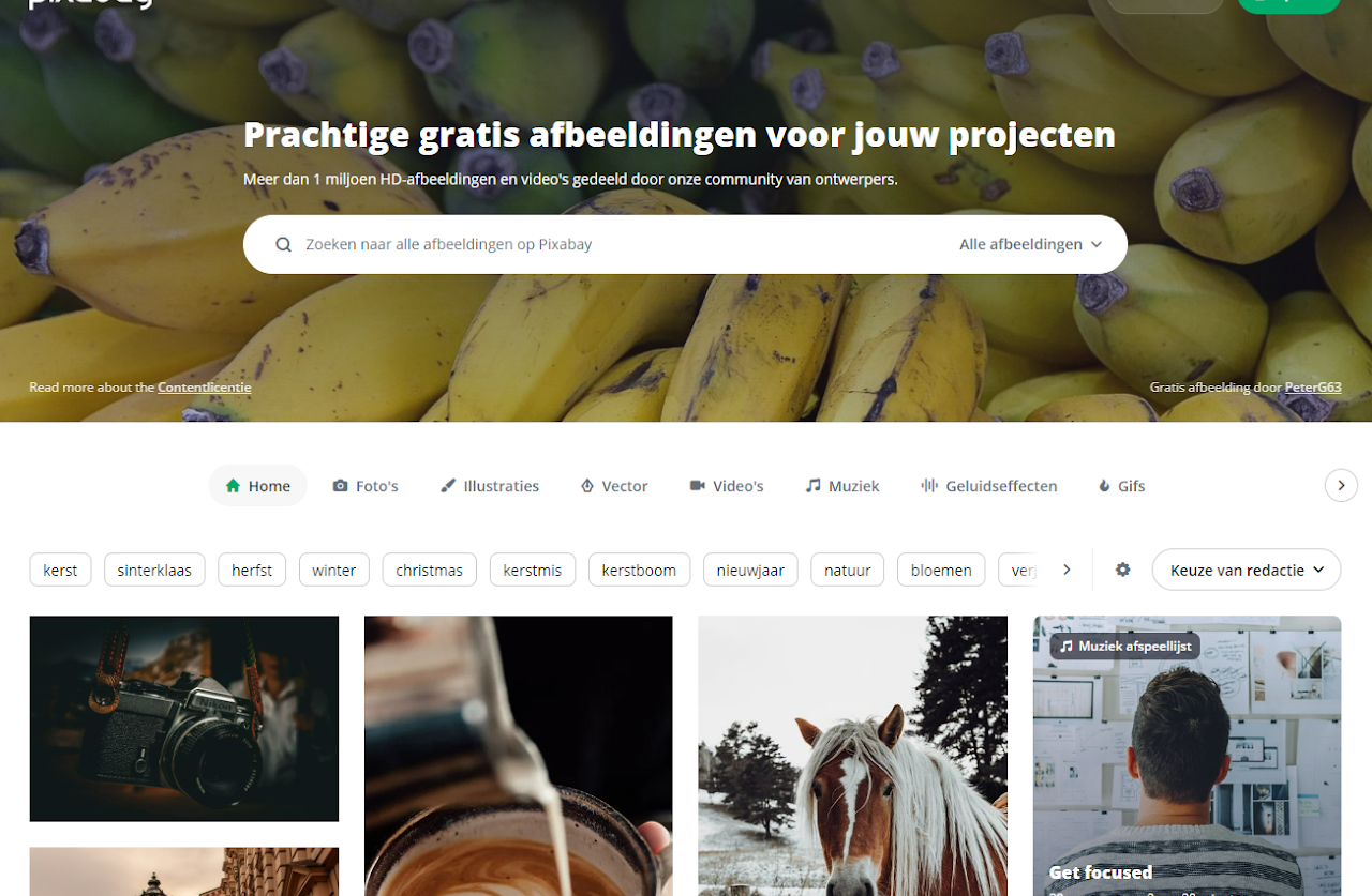 Printscreen met link naar website Pixabay